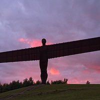 Buy canvas prints of Angel of the North, Sunset, Newcastle-Gateshead by Rob Cole