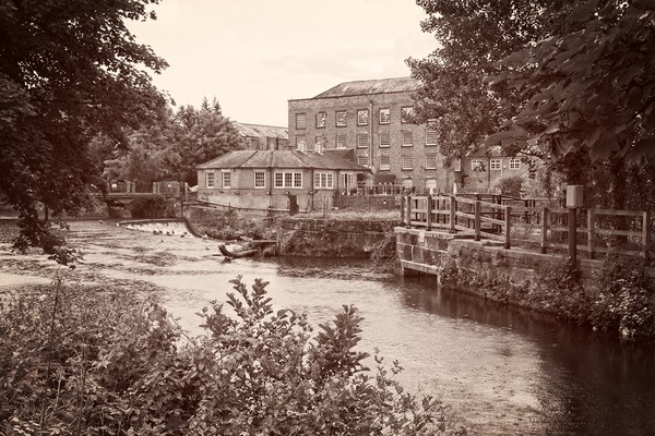 Boar's Head Mills, Darley Abbey, Derwent Valley, D Picture Board by Rob Cole