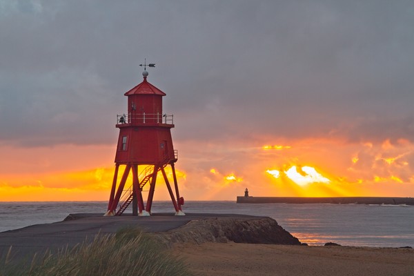 Radiant Sunrise over Red Herd Groyne Lighthouse Picture Board by Rob Cole