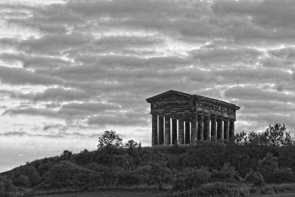 Earl of Durham Monument, Penshaw Picture Board by Rob Cole