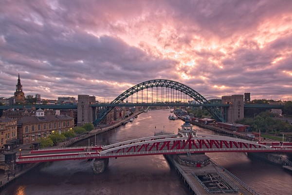 Newcastle Tyne Bridges at Dawn Picture Board by Rob Cole