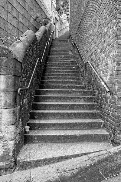 Dog Leap Stairs, Newcastle upon Tyne Picture Board by Rob Cole