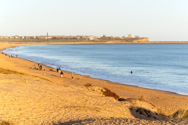 South Shields Beach Picture Board by Rob Cole
