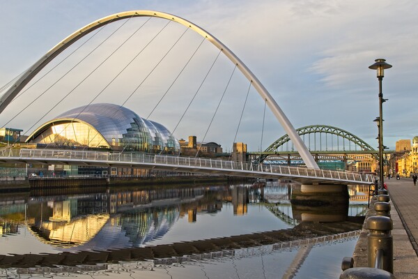 Bridges of Newcastle Picture Board by Rob Cole