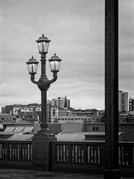 Tyne Bridge Lanterns Picture Board by Rob Cole