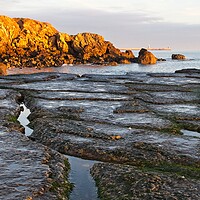 Buy canvas prints of Trow Point, South Sheilds by Rob Cole