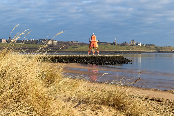 The Herd Groyne Lighthouse, South Shields Picture Board by Rob Cole