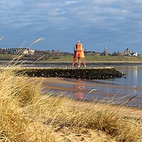Buy canvas prints of The Herd Groyne Lighthouse, South Shields by Rob Cole