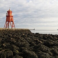Buy canvas prints of The Herd Groyne Lighthouse, South Shields by Rob Cole