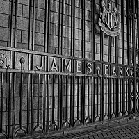 Buy canvas prints of St James Park, Newcastle by Rob Cole