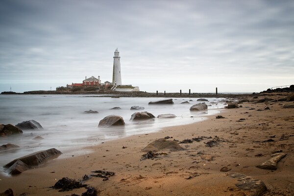St Mary's Lighthouse, Whitley Bay Picture Board by Rob Cole