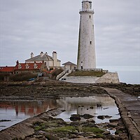 Buy canvas prints of St Mary's Lighthouse, Whitley Bay by Rob Cole