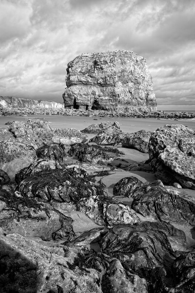 Marsden Rock, Whitburn Picture Board by Rob Cole