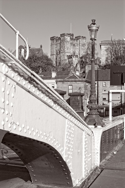 The Swing Bridge, Newcastle Picture Board by Rob Cole