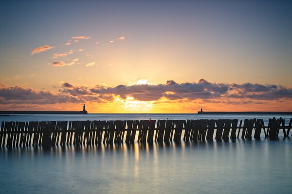 Mouth of the Tyne Sunrise Picture Board by Rob Cole