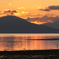 Buy canvas prints of Sunset on Cockleshell Beach in Tralee Bay, Ireland by Colm Kingston