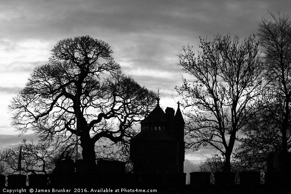 Cardiff Castle Winter Silhouettes Black & White Picture Board by James Brunker