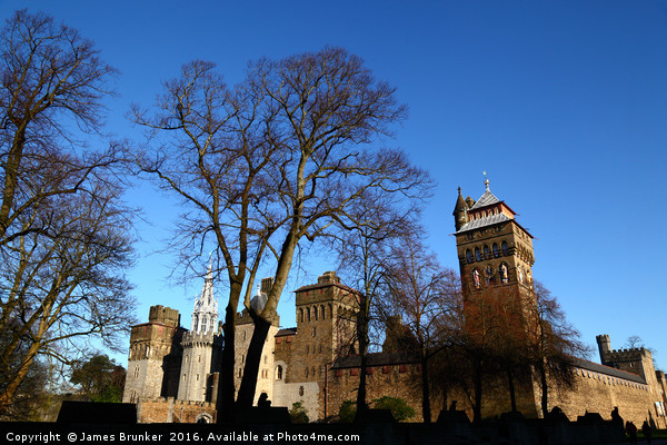 Cardiff Castle Glamoragan South Wales Picture Board by James Brunker
