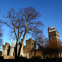 Buy canvas prints of Cardiff Castle Glamoragan South Wales by James Brunker