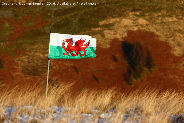 Welsh Flag and Mountain Colours Picture Board by James Brunker