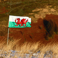 Buy canvas prints of Welsh Flag and Mountain Colours by James Brunker