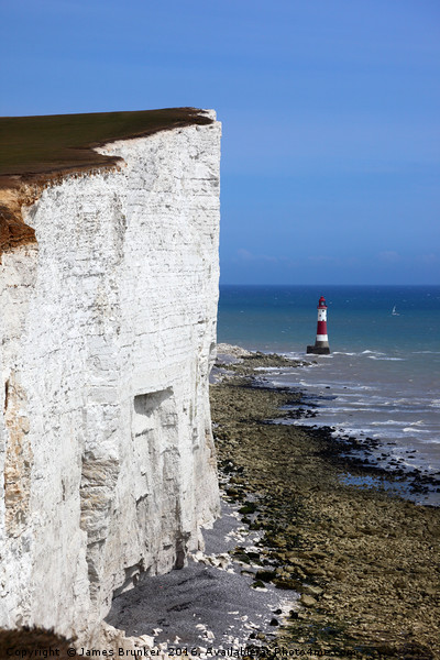 Chalk Headlands on the Sussex Coast  Picture Board by James Brunker