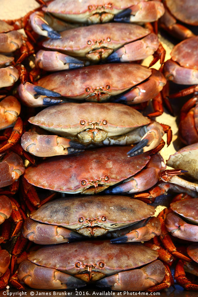 Edible Crabs Stacked up on Market Stall Picture Board by James Brunker