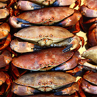 Buy canvas prints of Edible Crabs Stacked up on Market Stall by James Brunker