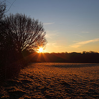 Buy canvas prints of Winter Sunrise on a Frosty Morning Kent by James Brunker