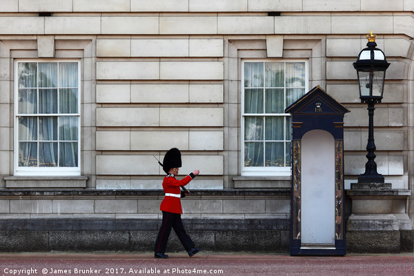 London Guard Stretching His Legs Picture Board by James Brunker