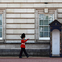 Buy canvas prints of London Guard Stretching His Legs by James Brunker