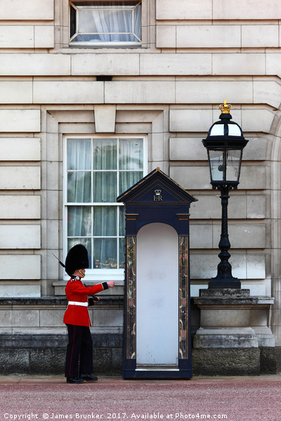 Scots Guard Arrving Home Buckingham Palace Picture Board by James Brunker