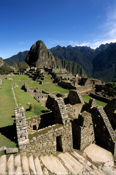Inca Houses and Main Square in Machu Picchu Peru Picture Board by James Brunker