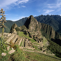 Buy canvas prints of Inca City of Machu Picchu and Bromeliad Plant Peru by James Brunker