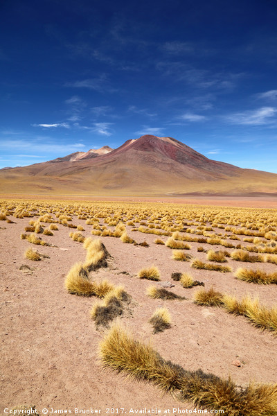 El Tatio volcano and Puna Grassland Chile Picture Board by James Brunker