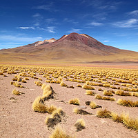Buy canvas prints of El Tatio volcano and Puna Grassland Chile by James Brunker