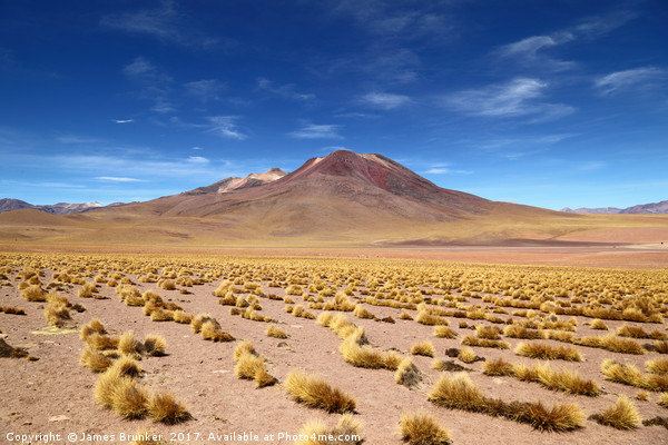 El Tatio volcano Atacama Desert Chile Picture Board by James Brunker