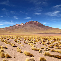 Buy canvas prints of El Tatio volcano Atacama Desert Chile by James Brunker