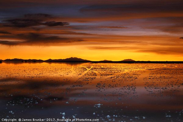 Golden Sunset on the Salar de Uyuni Bolivia Picture Board by James Brunker