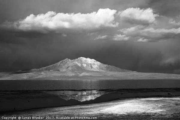 Lauca National Pak in Black and White Chile Picture Board by James Brunker