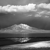 Buy canvas prints of Lauca National Pak in Black and White Chile by James Brunker