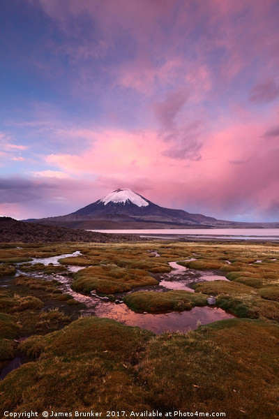 Parinacota Volcano Lauca National Park Chile Picture Board by James Brunker
