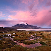 Buy canvas prints of Parinacota Volcano Lauca National Park Chile by James Brunker