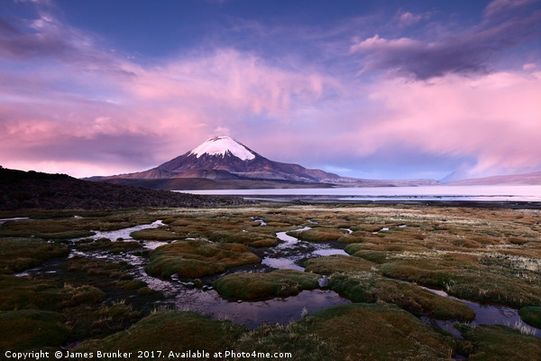 Parinacota Volcano and Lago Chungara Chile Picture Board by James Brunker