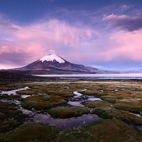 Buy canvas prints of Parinacota Volcano and Lago Chungara Chile by James Brunker