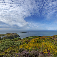 Buy canvas prints of Jo Evans View from Rhossili Downs by Jo Evans