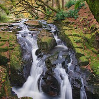 Buy canvas prints of Waterfall at Shipley Bridge by Nymm Gratton