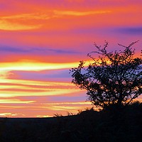 Buy canvas prints of Sunset at Bonehill Rocks by Nymm Gratton