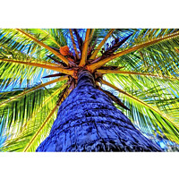Buy canvas prints of Abstract shape Coconut Tree by Rachid Karroo