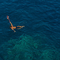 Buy canvas prints of Diving by Ranko Dokmanovic